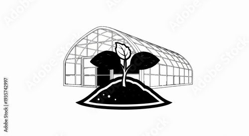 A seedling grows in soil in front of a greenhouse structure