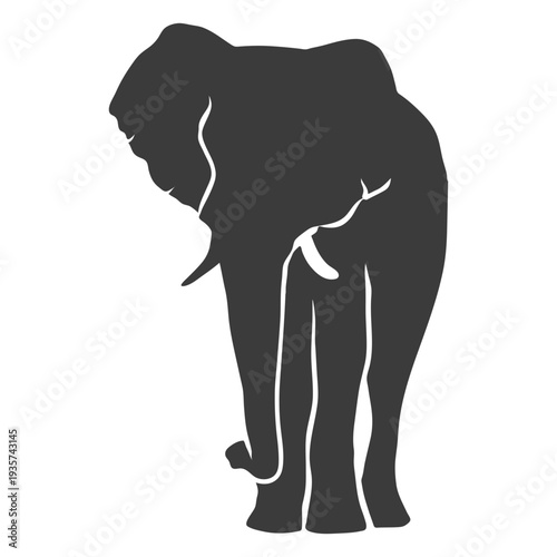 Elephant ear ivory trunk silhouette