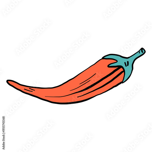 Pepper chilli color colour sketch