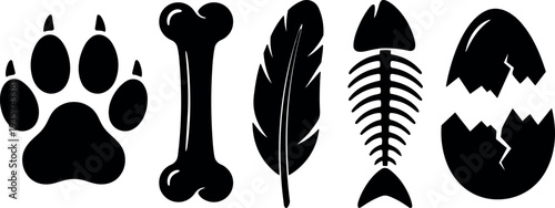 Flat design horizontal set of animal icons paw bone feather fish skeleton and cracked eggshell minimalist vector bold black silhouettes