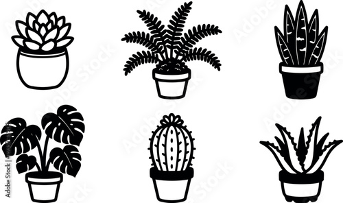 Minimal line art flat design potted succulent and cactus icon set six indoor plants arranged in row black silhouettes closeup