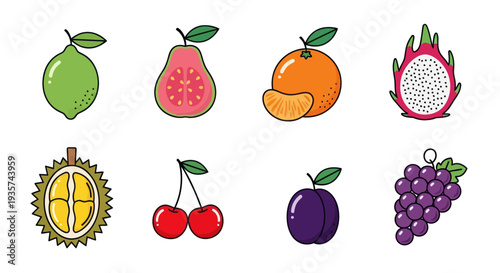 Colorful assortment of tropical fruit illustrations