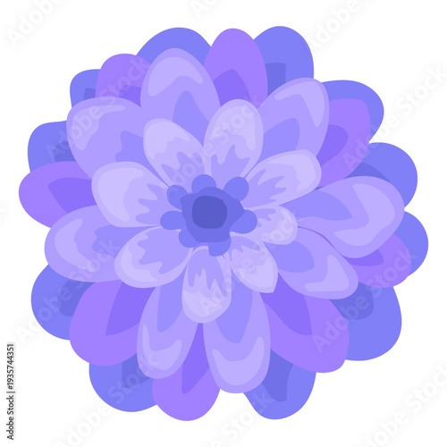 Dahlia flower stem bud petal flat