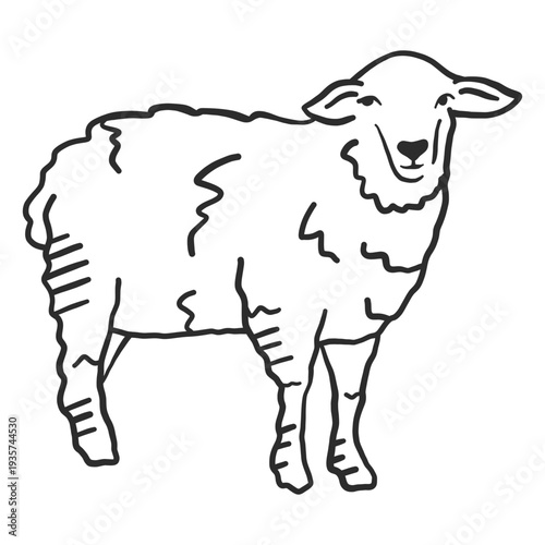 Sheep lamb hoof wool ear doodle