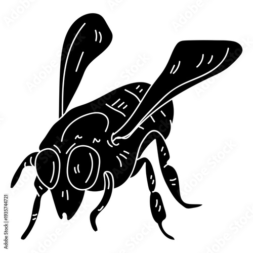 Bee wasp leg wing detailed silhouette insect