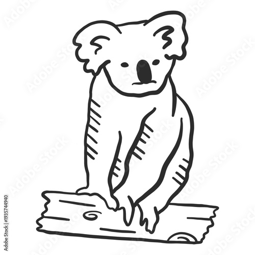 Koala nose ear branch doodle animal