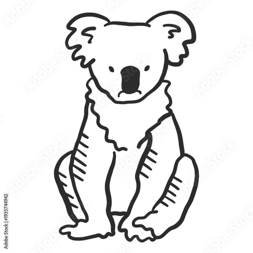 Koala ear nose sitting doodle animal