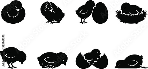 Vector illustration of various chick icons representing hatching and nesting stages