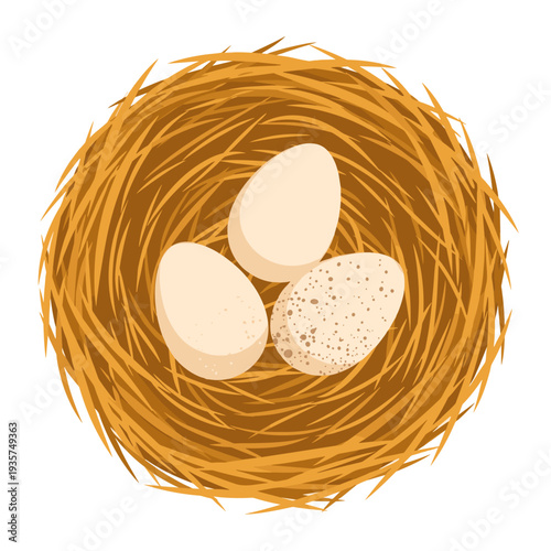 A simple round nest made of straw holds three eggs. The eggs are a warm creamy white, with one slightly darker egg with speckles.