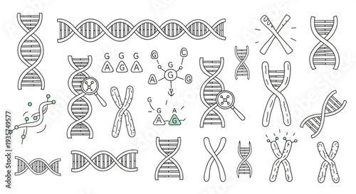 DNA Helix Chromosome Science Genetics Research Icons.