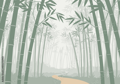 A path winds through a dense bamboo forest. The bamboo stems are tall and slender, with simple leaf shapes.