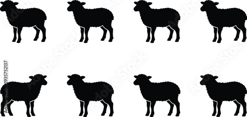 Vector illustration of multiple black silhouette sheep in a patterned arrangement