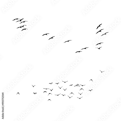 Minimal flying bird silhouette pattern ideal for nature backgrounds, wildlife graphics and decorative sky scenes.