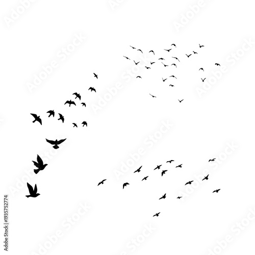 Collection of flying bird flock silhouettes in different formations. Perfect for nature scenes, wildlife designs, sky backgrounds and decorative graphics.