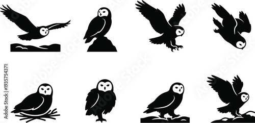 Stylized vector illustrations of various owl poses and actions in monochrome design