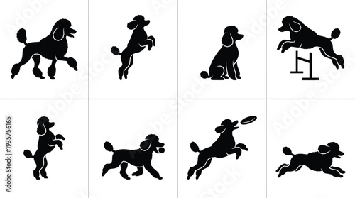 Set of playful silhouette illustrations featuring poodles in various action poses