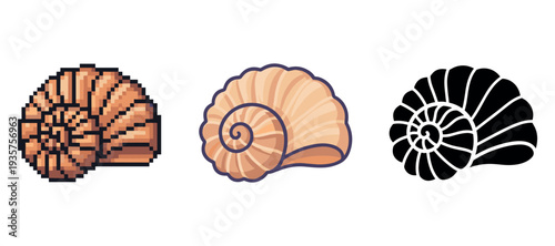 Three nautilus shell designs: pixel art, colored illustration, and silhouette