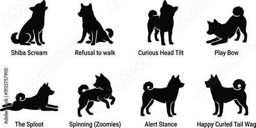 Illustrative silhouettes of Shiba Inu dog poses showcasing playful and curious behaviors