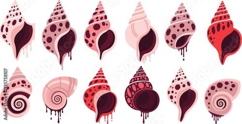 Sea Shell Collection Cartoon Vector Set of Tropical Ocean Conch Shells with Different Patterns and Spiral Marine Shapes