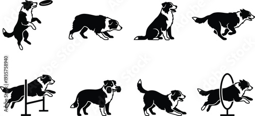 Dynamic illustrations of a border collie engaging in various sports and activities