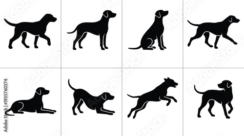 Vector illustration of various dog poses showcasing playful and active canines in a minimalist style