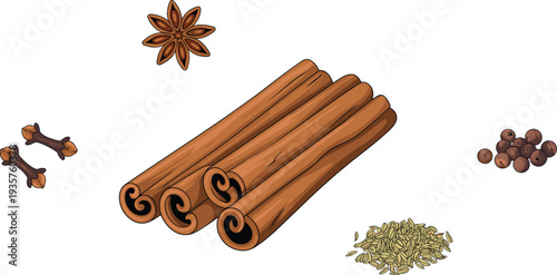 Cinnamon sticks and spices set vector illustration, star anise cloves peppercorn fennel seeds aromatic cooking ingredients isolated food seasoning collection