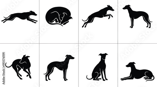 Various black silhouette illustrations of greyhound dogs in different poses and positions