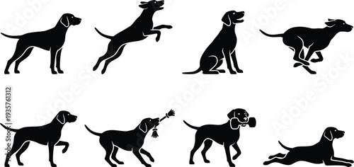 Vector illustrations of playful dogs in various poses showcasing their agility and playfulness