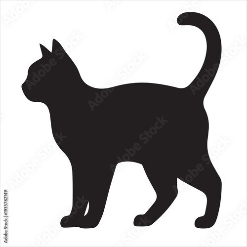Photography black cat silhouette