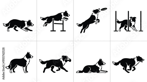 Dynamic black and white vector illustrations of border collies engaging in various playful activities