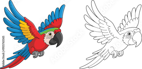 Colorful macaw parrot flying cartoon vector illustration, tropical bird with spread wings, exotic wildlife character with colored and outline versions