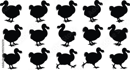 Dodo bird silhouette set, extinct flightless bird icons, prehistoric wildlife animal poses, black dodo vector collection, rare species illustration bundle