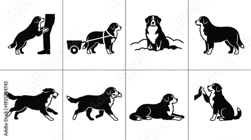 Vector illustrations of various dog actions showcasing playful and service-related behaviors
