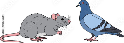 Rat and pigeon urban pest animals vector illustration isolated set
