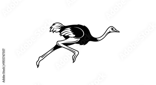 Running Ostrich Black and White Illustration Isolated on White Background