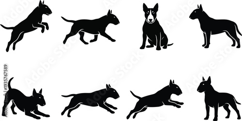 Canvas Print Vector illustration of playful Bull Terrier dogs in various dynamic poses