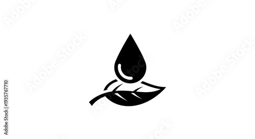 Water Drop on Leaf Icon - Nature and Eco-Friendly Symbol