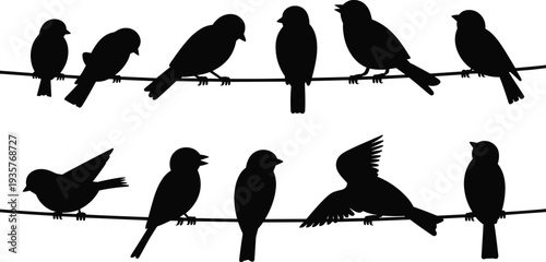 Bird silhouette collection, perched avian illustration, wildlife graphic design, black nature artwork, flying motion pattern, artistic decorative animal element