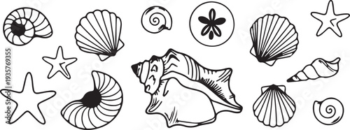 Black & White Doodle Clipart Bundle – Botanical Leaves, Birthday Party Icons, Wine Cheers, Sushi Food, Seashells Line Art