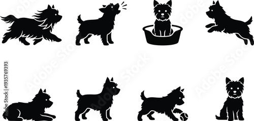 Vector illustration of playful Yorkshire Terriers in various poses and actions