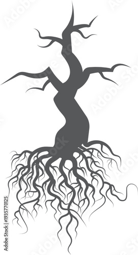 Tree roots silhouette. Dry trunk. Woodland botany