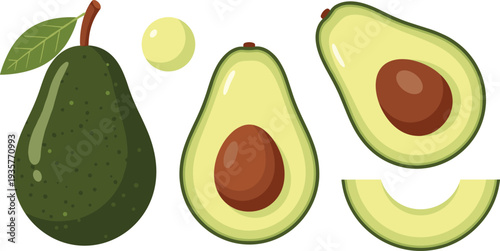 Avocado fruit whole and sliced with seed healthy organic food ingredient flat vector illustration set