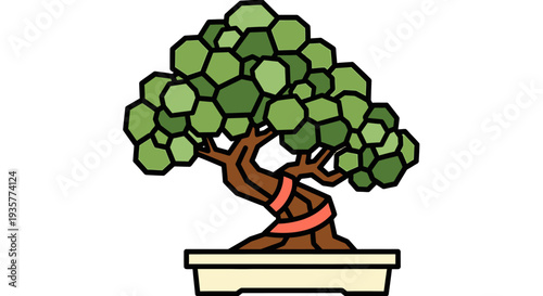 Bonsai Tree in Pot.