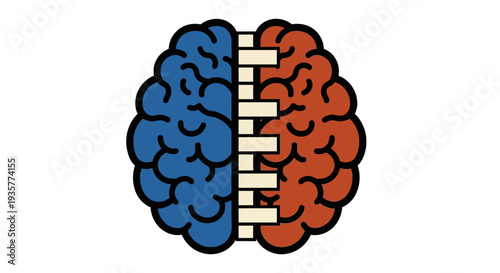 Brain Left Right Hemisphere.