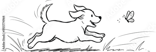 A playful dog runs through the grass chasing a butterfly in a lively outdoor scene wqe (252)