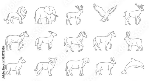 Various Wild Animal Species.