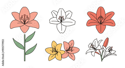 Lily Line art vector set creative bold tone