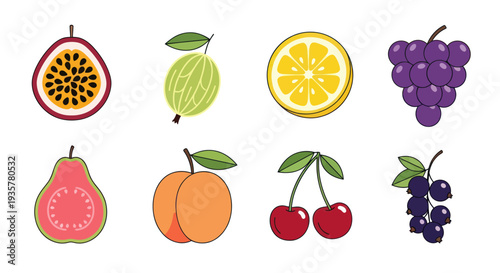 Colorful fruit collection on white background