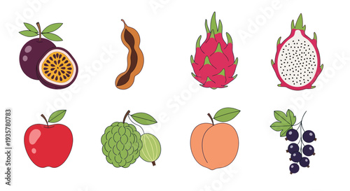 Colorful fruits graphic design elements