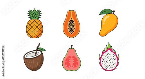 Colorful tropical fruit illustrations on white